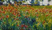 Robert William Vonnoh Poppies in France oil painting on canvas